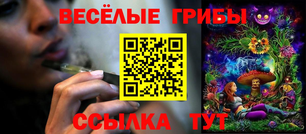 Псилоцибиновые грибы GOLDEN TEACHER Новокубанск
