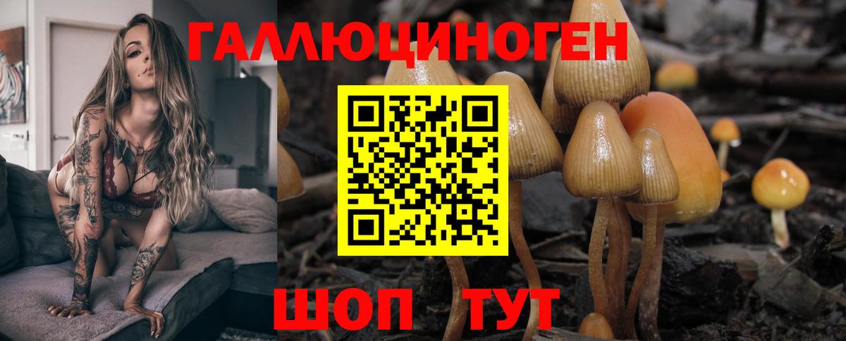 Галлюциногенные грибы Psilocybe  Галлюциногенные грибы мухоморы  Новокубанск  Вход с VPN 